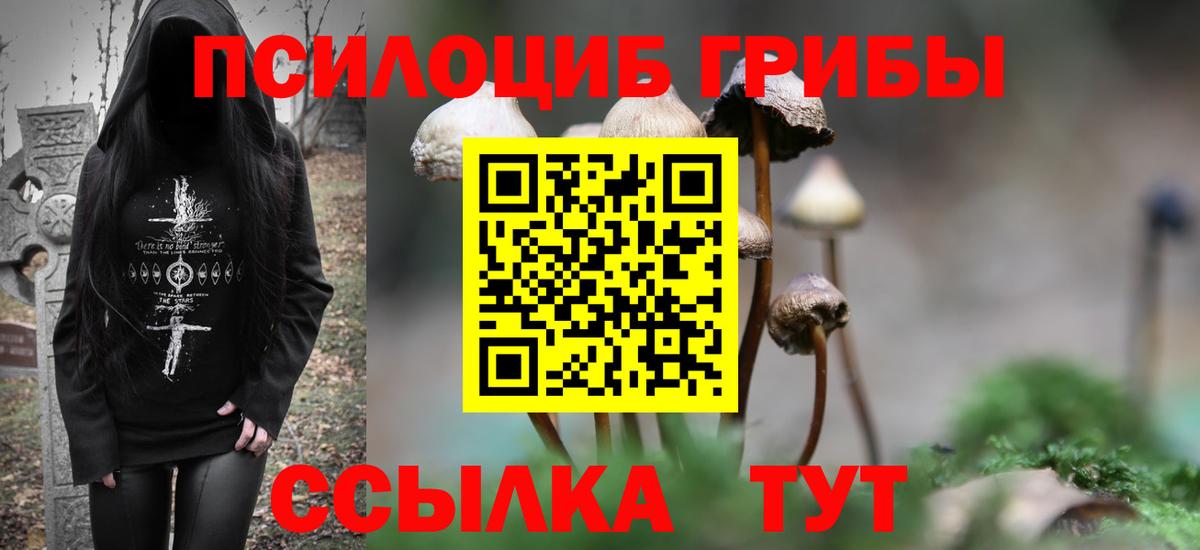 Галлюциногенные грибы Psilocybine cubensis Сланцы