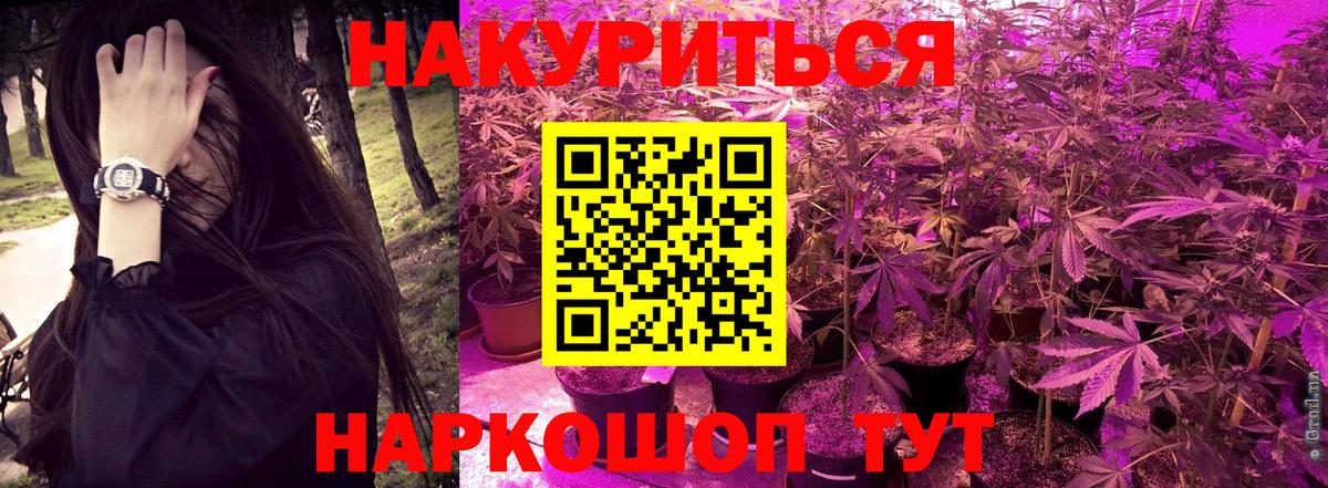 Конопля гибрид Сланцы